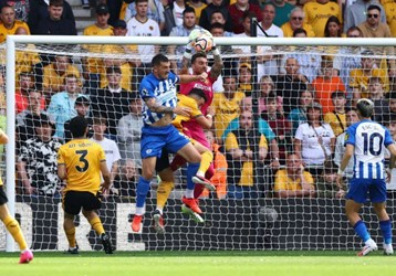 video Highlight : Wolverhampton 1 - 4 Brighton (Ngoại hạng Anh)