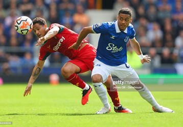 video Highlight : Everton 0 - 1 Wolverhampton (Ngoại hạng Anh)