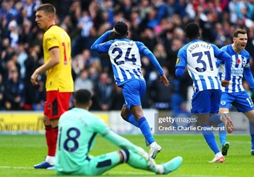 video Highlight : Brighton 1 - 1 Sheffield (Ngoại hạng Anh)